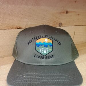 NEWE Logo hat green