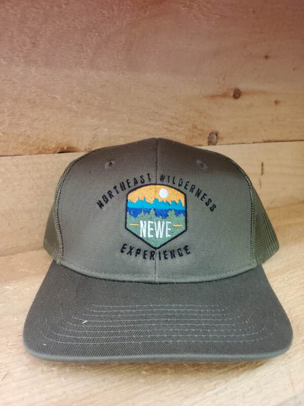 NEWE Logo hat green