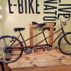 Schwinn Twin Deluxe Brown