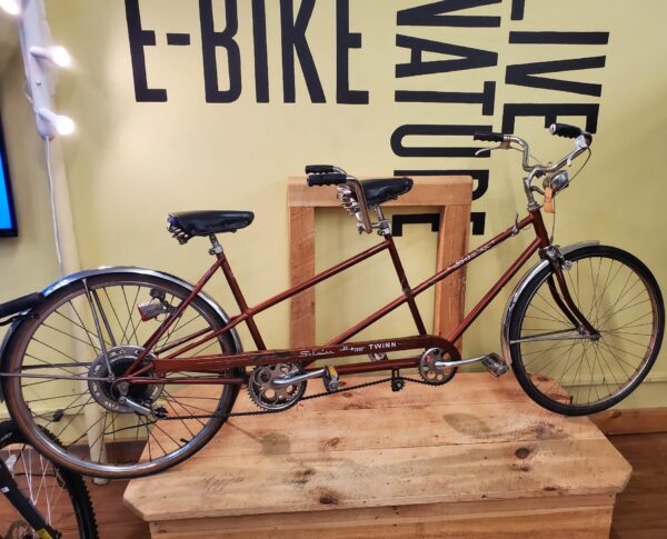 Schwinn Twin Deluxe Brown