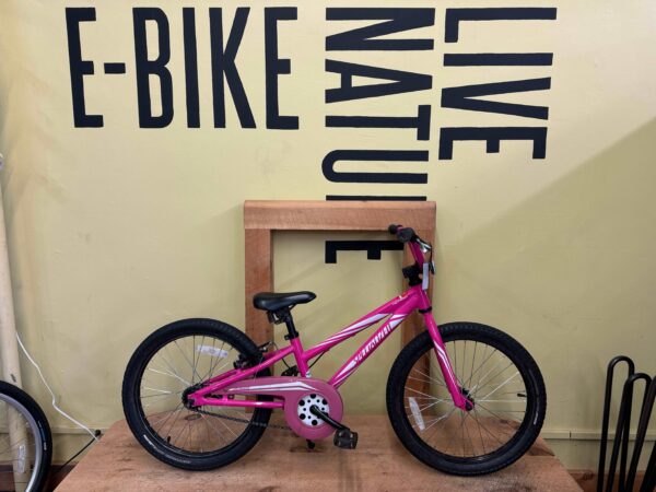 Used Specialized Hot Rock Pink 20"