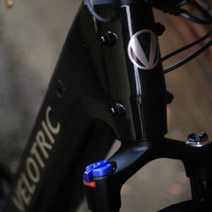 Velotric Discover 2 Pine Green Regular